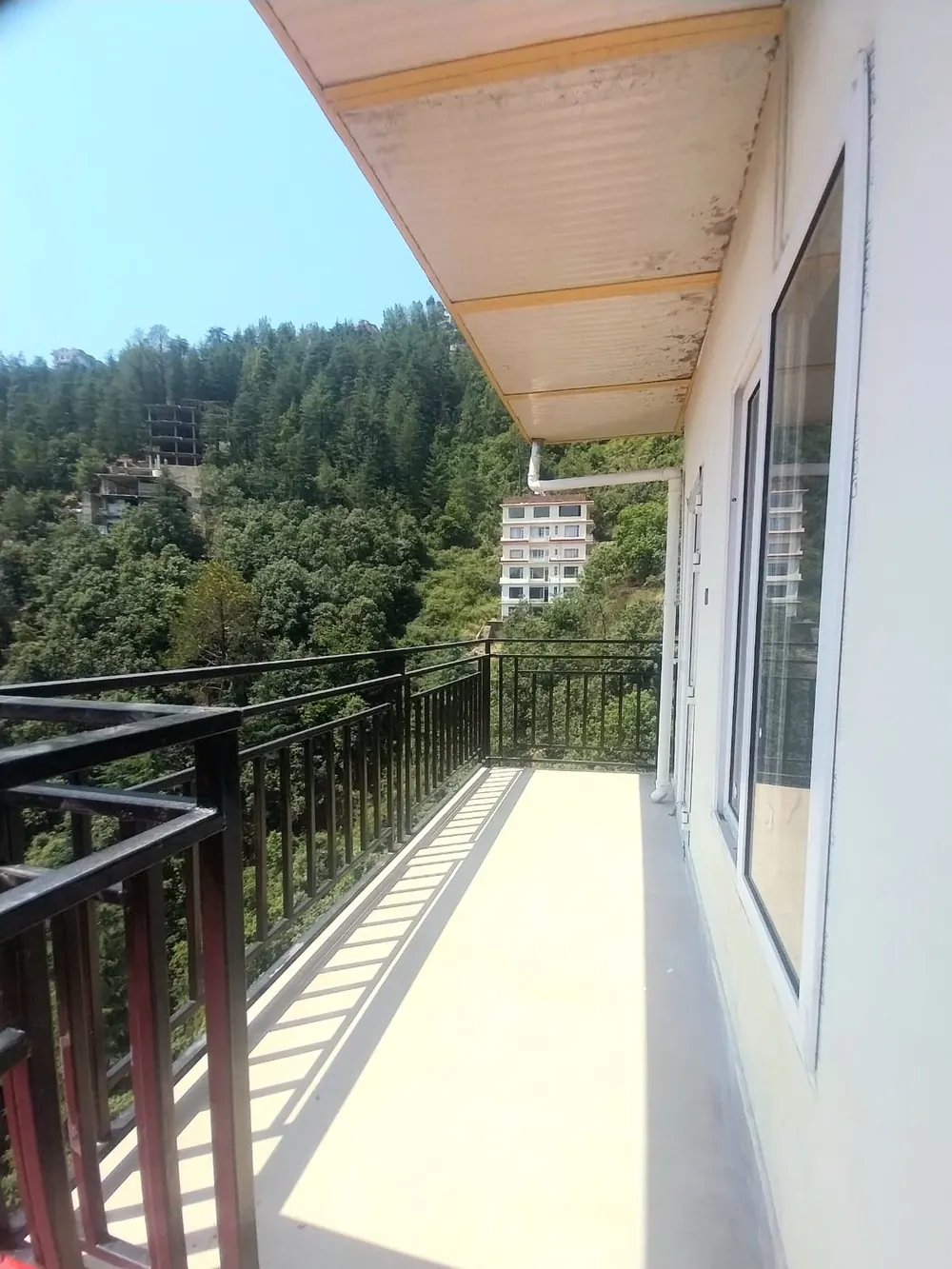 Balcony with deodar forest views